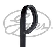 Ремень поликлиновой. HONDA Accord 81-83  City  Jaz