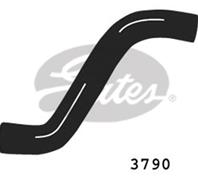 Accessory Drive Belt