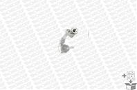 Наконечник рулевой тяги nissan: primastar 02-06  primastar 01-  primastar 02-  opel: vivaro combi 1...