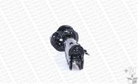 OESpectrum Sensa-Trac Strut