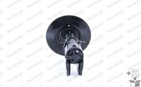 Suspension Strut Assembly