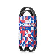 Ремень 5PK923 (EPDM) для а/м VW JETTA III (1K2)