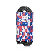 Ремень 6PK1503 (EPDM) для а/м FORD FOCUS III седан, FOCUS IV седан (HM), FIESTA VI (CB1, CCN), FIEST