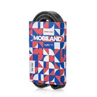 Ремень 7PK1570 (EPDM) для а/м NISSAN QASHQAI II SUV (J11, J11_, J12); RENAULT MEGANE III хэтчбек (BZ