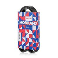 Ремень 6PK900 (EPDM) для а/м SKODA OCTAVIA II (1Z3); VW PASSAT B6 (3C2), GOLF PLUS V (5M1, 521), GOL