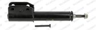 Suspension Strut Assembly
