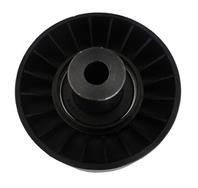 Ролик ремня приводного FORD TRANSIT 2.4D/3.2D 06- AG03338