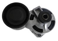 Натяжитель ремня приводного FORD TRANSIT 2.4D/3.2D 06- AG00054