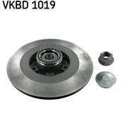 Brake disk with bearing