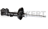 Амортизатор передний газовый SG4669 от компании Zekkert