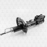 Амортизатор передний gas r