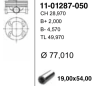 77,01 mm Поршень + палец без колец